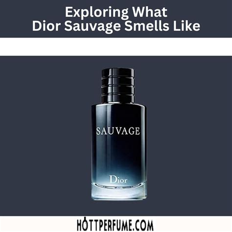 sauvage dior ici|what does dior sauvage smell like.